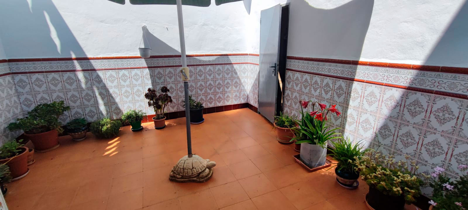 Patio Interior
